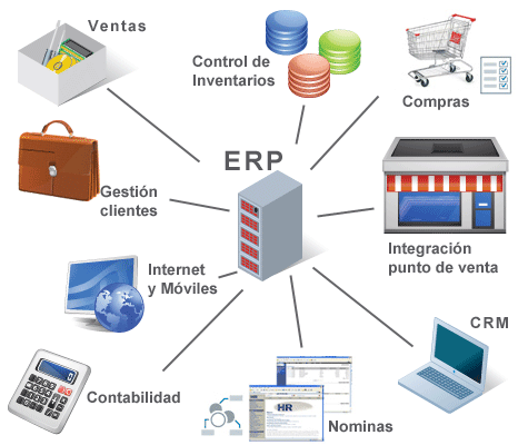 Is ERP Software in Dubai Driving Business Efficiency?