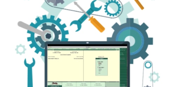 Tired of Generic Tally? Try Custom Services in UAE!