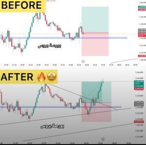 توصيات شراء الأسهم السعودية والأمريكية وإدارة محفظتك 