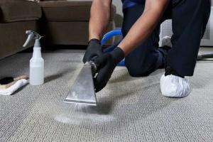 Everyday Laundry LLC is the Best Carpet Cleaning Company in Abu Dhabi for Deep Cleaning and Reliable