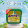 ريبورن للتخسيس والتحكم بالوزن reborn