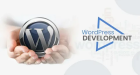 Why Choose a WordPress Website Development Company in Dubai?