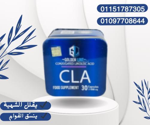 CLA – خفف وزنك، واحفظ عضلاتك!