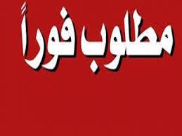 مطلوب موظفين خبره في الاستثمار العقاري وتاجير وتشغيل العقارات وبحث عن العقار المطلوب ونشره في النت والتطبيقات