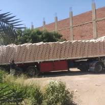 اسمنت