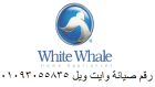 شركة  صيانة غسالات وايت ويل مدينتي 01092279973
