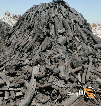 فحم الحمضيات ( الليمون ) للتصدير