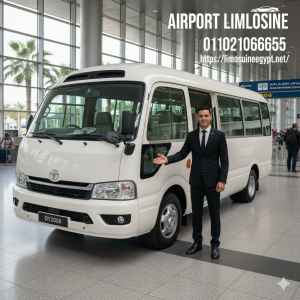 Executive Group Travel: Rent Toyota Coaster 24-Seater 2025 Minibus with Chauffeur for Cairo Airport 