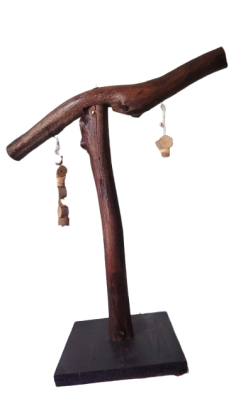 استاند ببغاء