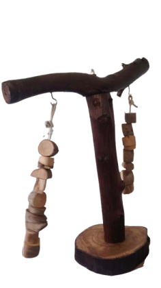 استاند ببغاء للتدريب الببغاوات