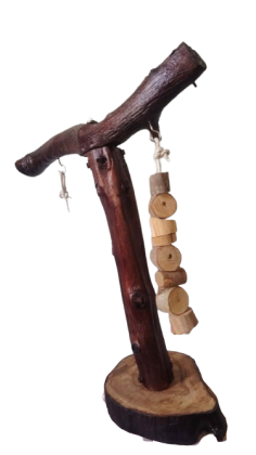 استاند ببغاء للتدريب الببغاوات