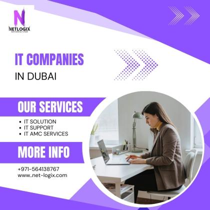 Robust IT Companies in Dubai for Secure IT Management