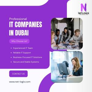 Professional IT Companies in Dubai for Business Technology Support