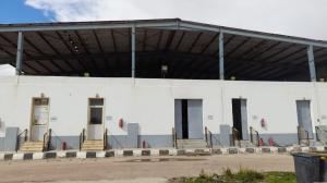 مصنع ببرج العرب ٤٢٠٠ أغذيه جمالون وأرضيات علي أعلي مست�