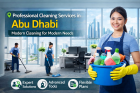 professional Cleaning Service