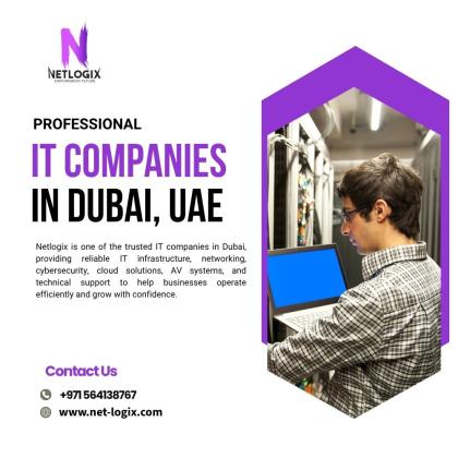 Professional IT Companies in Dubai for Reliable IT Services