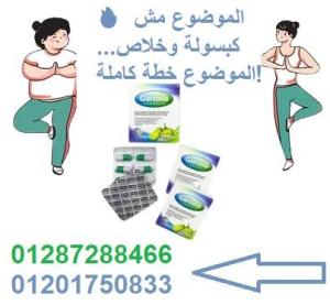 كبسولات جارسينيا كامبوجيا (Garcinia Cambogia)