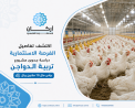اكتشف تفاصيل الفرصة الاستثمارية دراسة جدوى مشروع تربي�