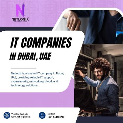 Professional IT Companies in Dubai Supporting Growing Businesses