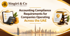 Accounting Standards Applicable to UAE Businesses: What to Know