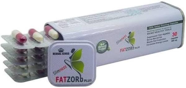 فات زورب Fat Zorb – اختيارك لرحلة رشاقة أكثر وعيًا