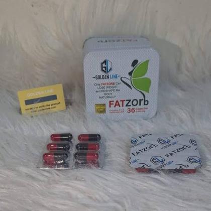 فات زورب Fat Zorb – اختيارك لرحلة رشاقة أكثر وعيًا
