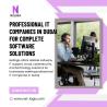 Professional IT Companies in Dubai for Complete Software Solutions