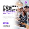 Professional IT Companies in Dubai Specializing in Network Security
